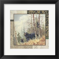 Framed Black Bears with Border