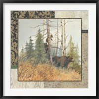 Framed Brown Bears with Border