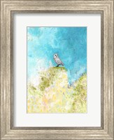 Framed Spring Owl