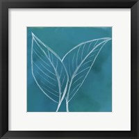 Framed 'Tropical IV' border=