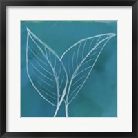 Tropical IV Framed Print