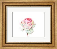 Framed Rose