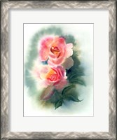 Framed Peach Rose