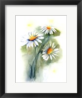 Framed Daisies