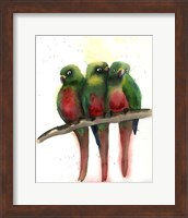 Framed Green Parrots