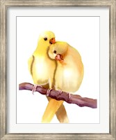 Framed Yellow Parakeets