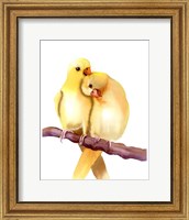 Framed Yellow Parakeets