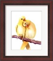 Framed Yellow Parakeets