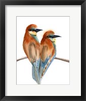 Framed Black Beaks