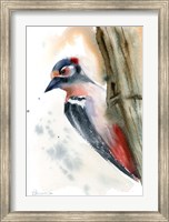 Framed Woodpecker