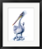 Framed Pelican Blue