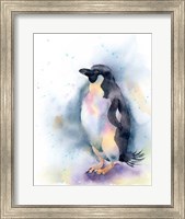 Framed Penguin I