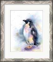 Framed Penguin I