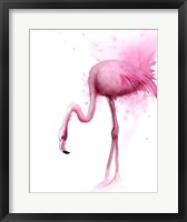 Framed Flamingo II
