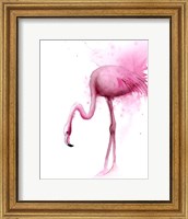 Framed Flamingo II