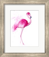 Framed Flamingo III