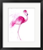 Framed Flamingo III