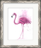 Framed Flamingo V