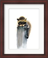 Framed Baby Raccoon