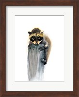 Framed Baby Raccoon