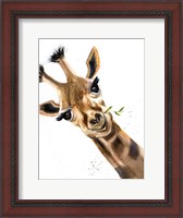 Framed Giraffe