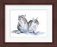 Framed Mice