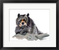 Framed Bear III