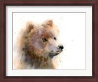 Framed Bear II