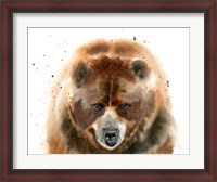 Framed Bear IV