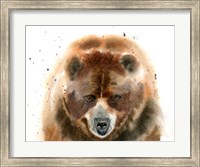 Framed Bear IV