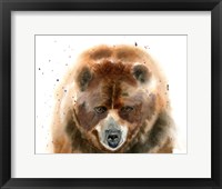 Framed Bear IV