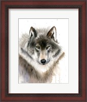 Framed Wolf II