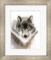 Framed Wolf II