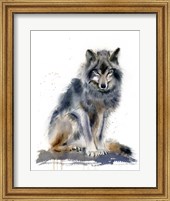 Framed Wolf IV