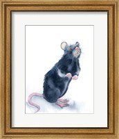 Framed Rat