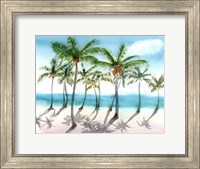 Framed Palm Trees