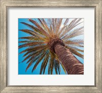 Framed Sunny Palms