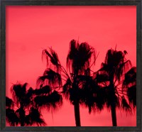 Framed Neon Palm Trees III