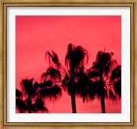 Framed Neon Palm Trees III