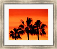 Framed Neon Palm Trees IV