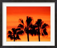 Framed Neon Palm Trees IV