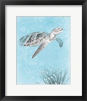 Coastal Sea Life I v2 Framed Print