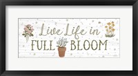 Framed Blooming Garden IX