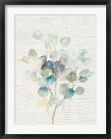 Framed Eucalyptus III Vintage