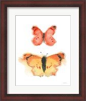 Framed Watercolor Butterflies IV