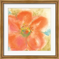 Framed Coral Poppy II