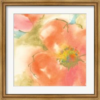 Framed Coral Poppy I