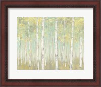 Framed Sylvan Birches