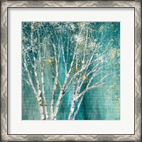 Framed Blue Birch Flipped