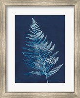 Framed Nature By The Lake - Ferns VI